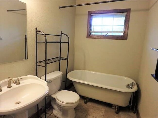 Building Photo - Unique 3 Bed 2 Bath Cabin In The Heart of Columbia!