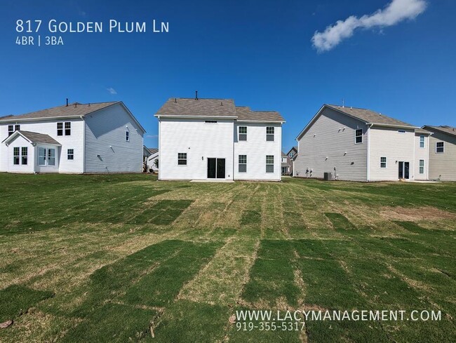 Building Photo - 817 Golden Plum Ln