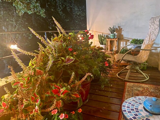 Building Photo - 2011 Viking Dr NW