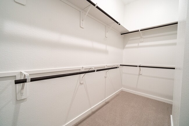 Building Photo - 24819 Yellow Spruce Cir