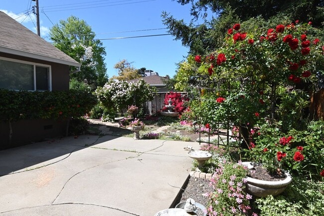 Building Photo - Beautiful home with AC in PRIME Santa Clara location - 3 bd / 2 bath coming soon!
