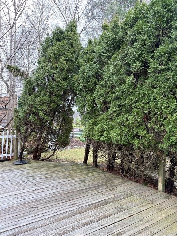 Building Photo - 42 Charnock St