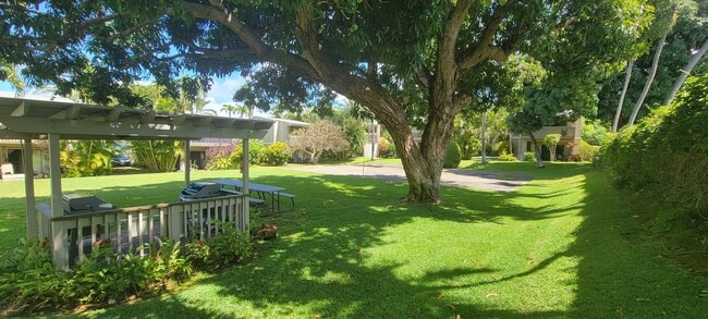 Building Photo - Turned key Fully Furnished Condo