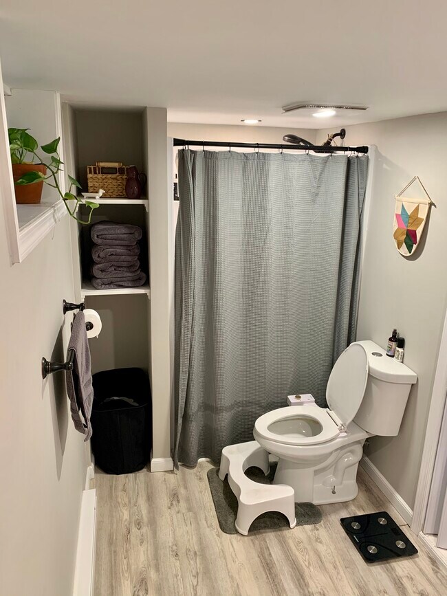 Bathroom located downstairs - 228 S Madison St