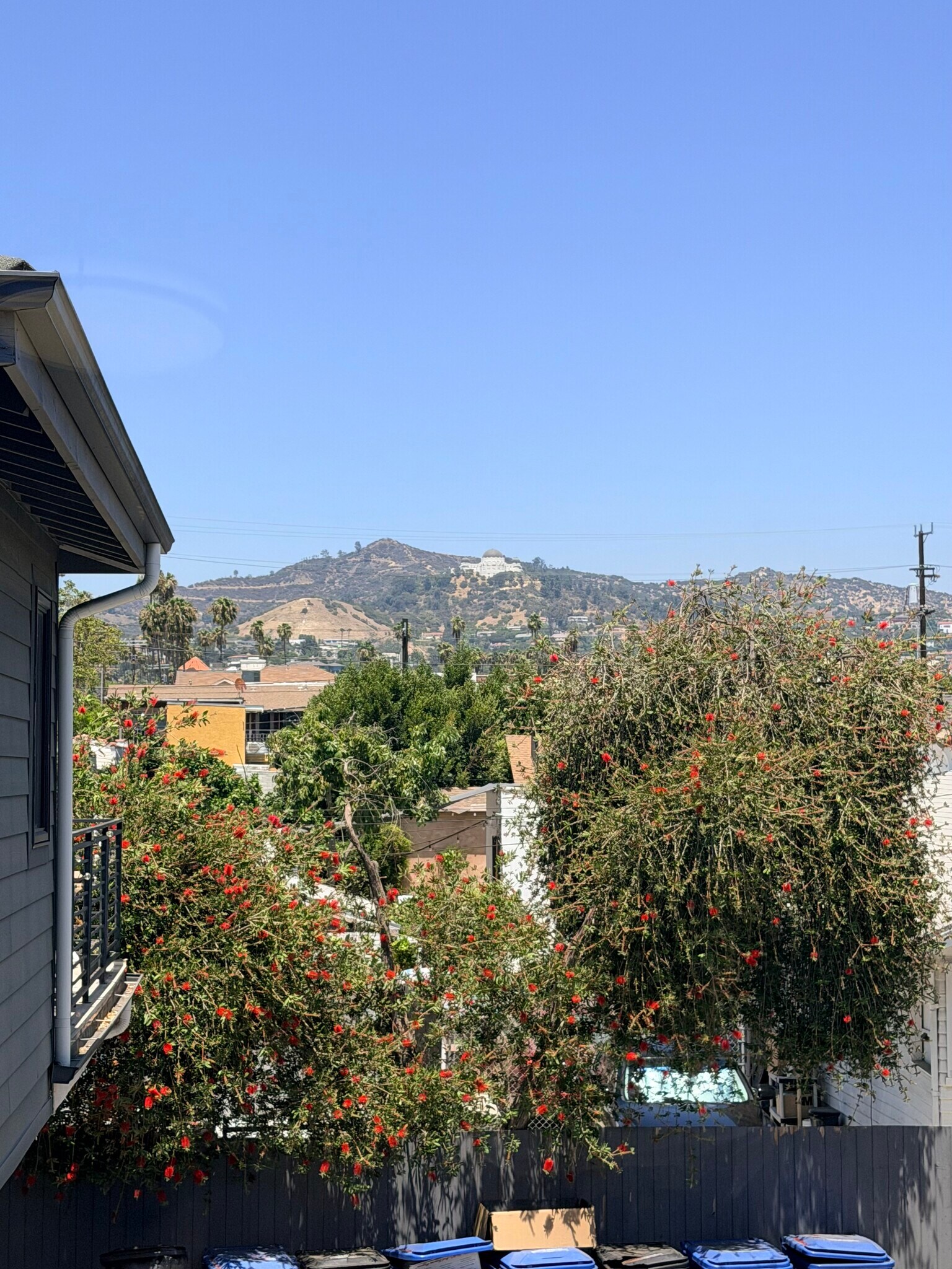 Building Photo - 1223 N Kingsley Dr
