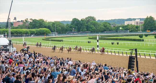 Belmont Racetrack - 65 Spruce Ave
