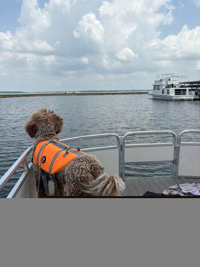 Building Photo - 12500 Melville Dr