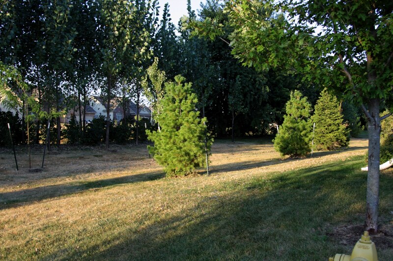 Building Photo - 2789 NW 155th St