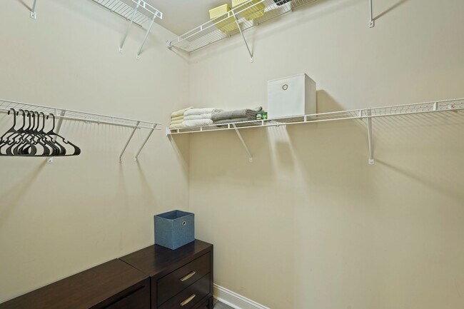 Building Photo - 10 Chicory Ct