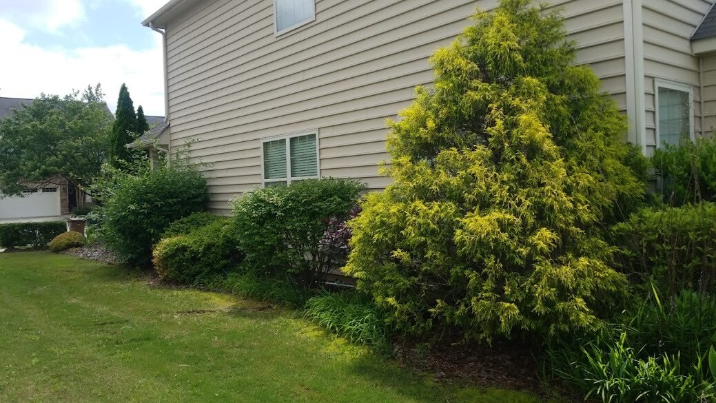 Right side of house - 308 Windy Peak Loop