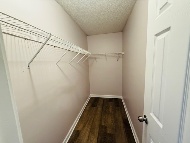 Building Photo - 132 Vineyard Ridge Dr