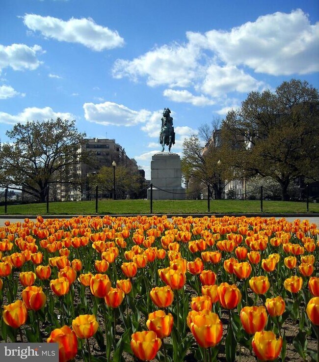 Building Photo - 1140 23rd St NW