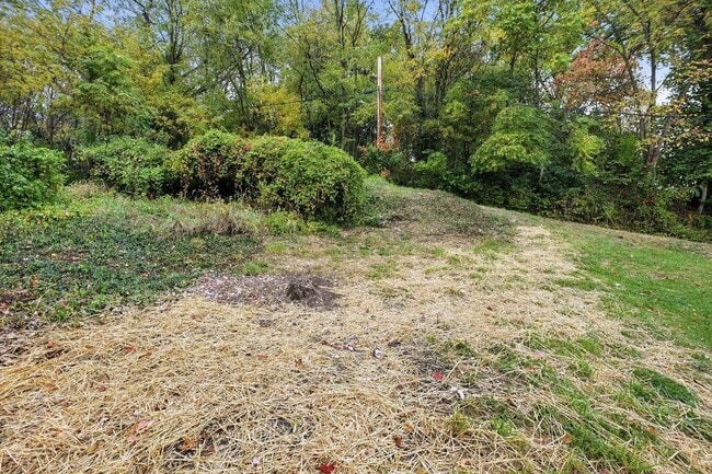 Building Photo - 1041 Market St