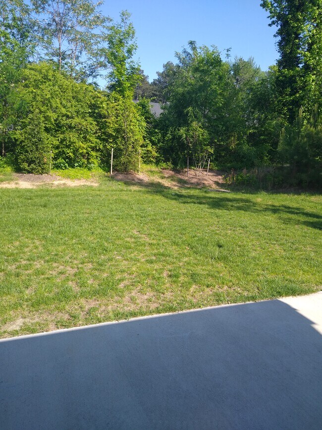 Patio and Backyard - 8001 Wistar Glen Dr