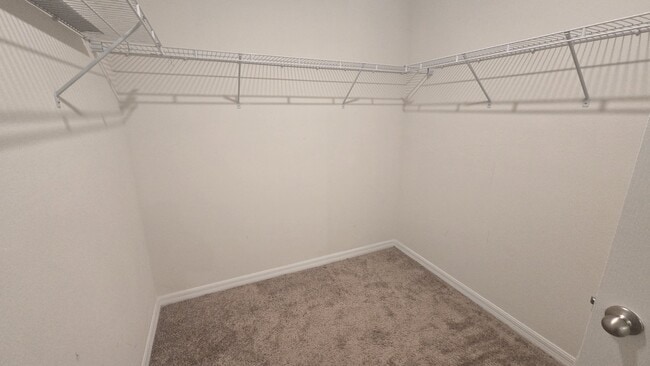 Building Photo - 3358 Summerdale Way