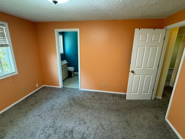 Building Photo - 3 Bedroom House off Harlow Rd.