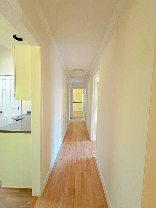 Building Photo - 102 Rock Nest Ct