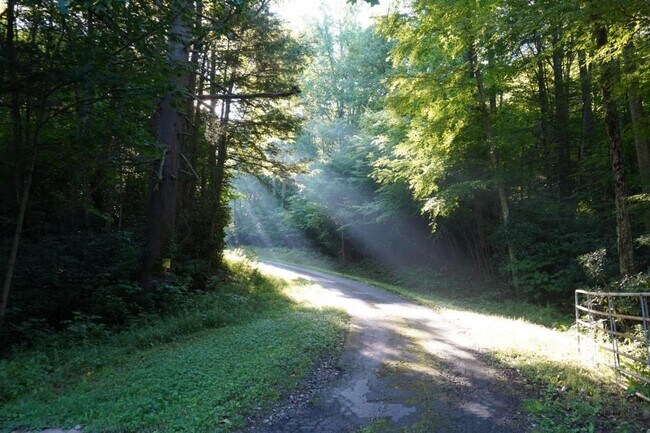 Building Photo - 88 Laurel Cove