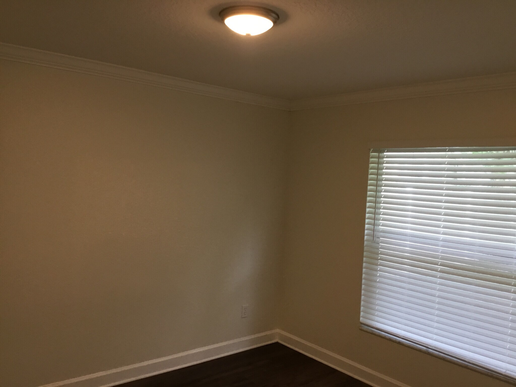 Building Photo - 71 Spring Ridge Dr