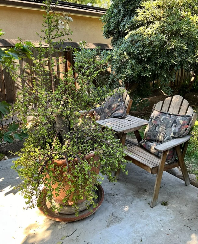 Building Photo - Charming 3-Bedroom Home in the Heart of th...
