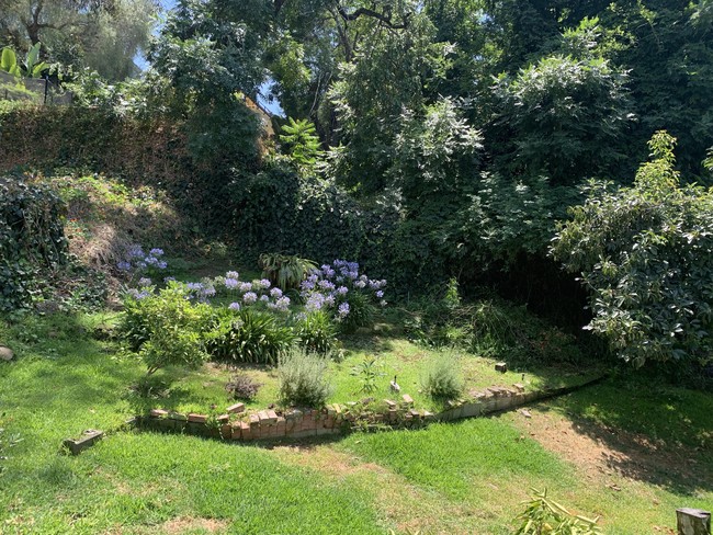 Backyard - 2142 Baxter St