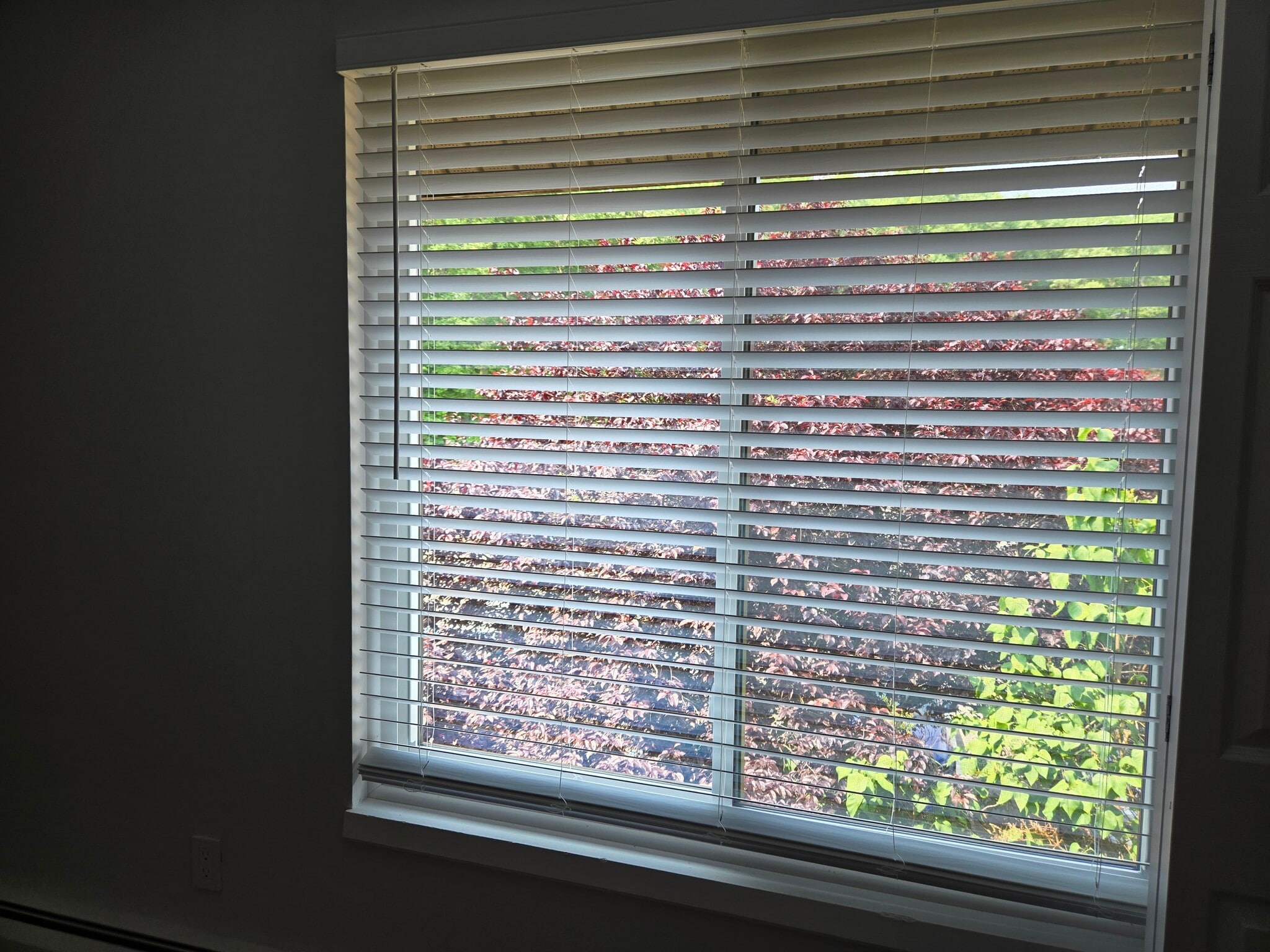 Room - 20 Amato Dr