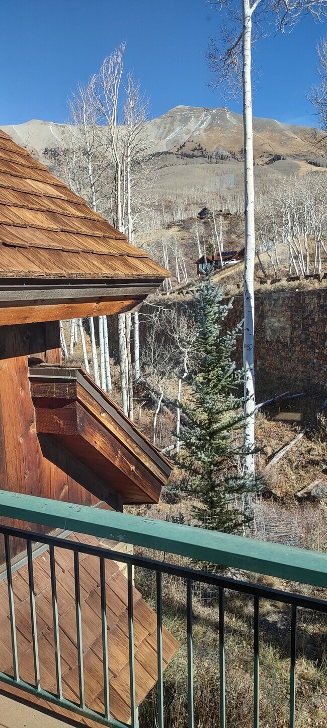 Outside deck view - 114 Aldasoro Rd