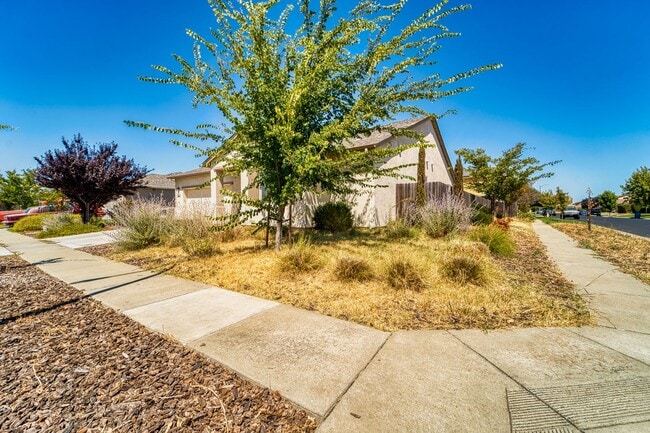 Building Photo - Upgraded Single-Story 3BR/2BA Solar Home o...