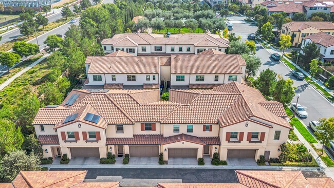 Primary Photo - 110 Okra