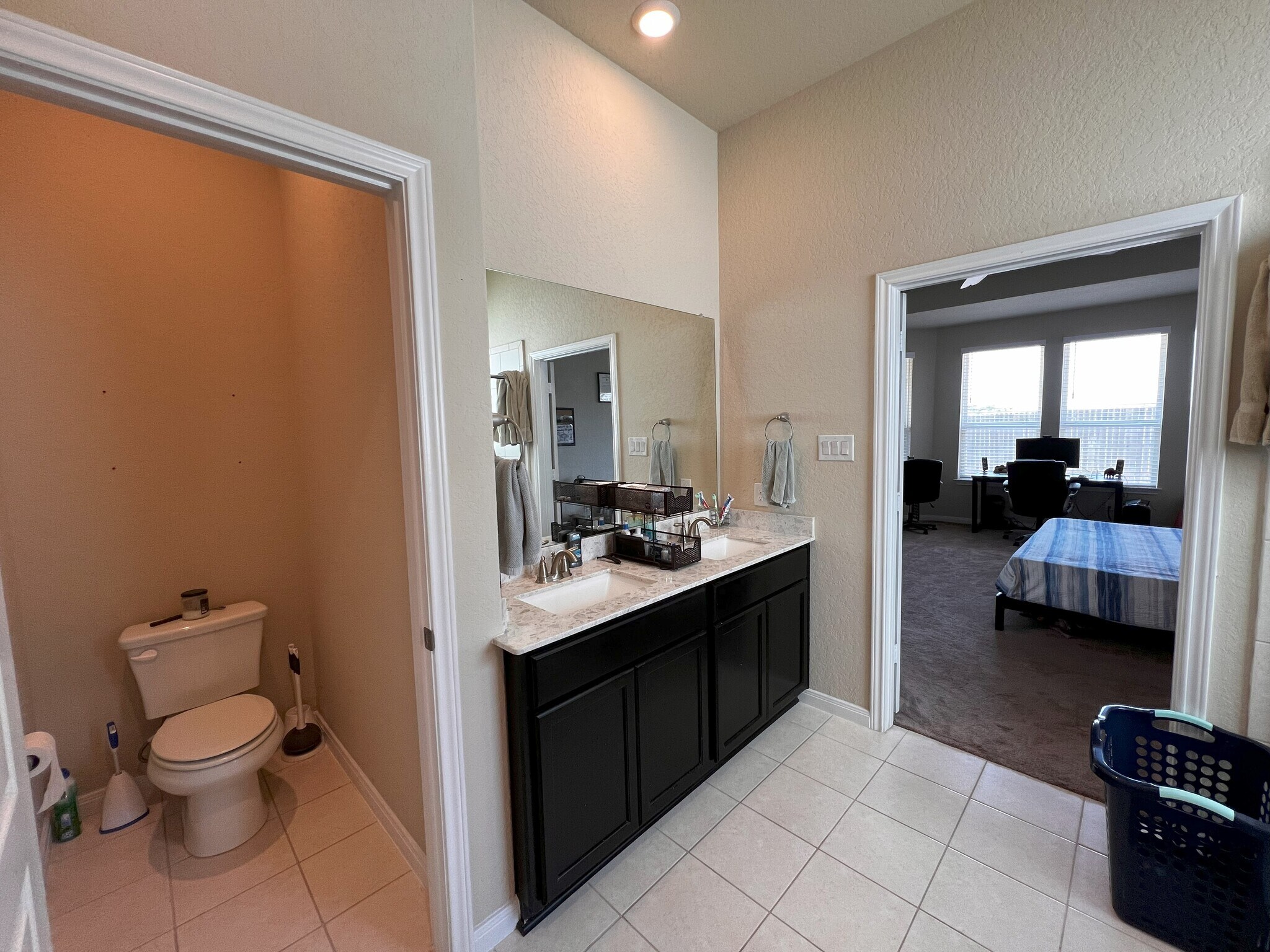 Ensuite master bathroom, hideaway toilet - 9186 Devils Riv