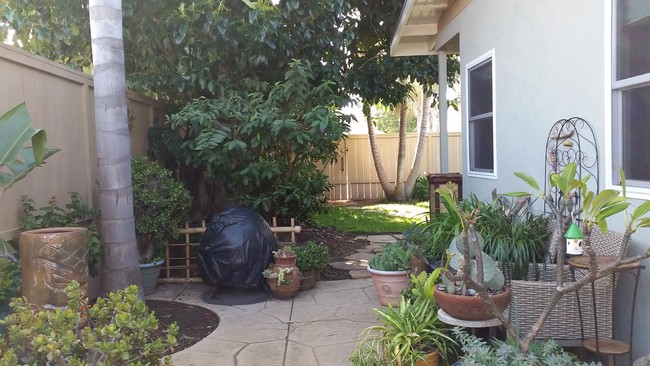 side yard - 120 Cadmus St