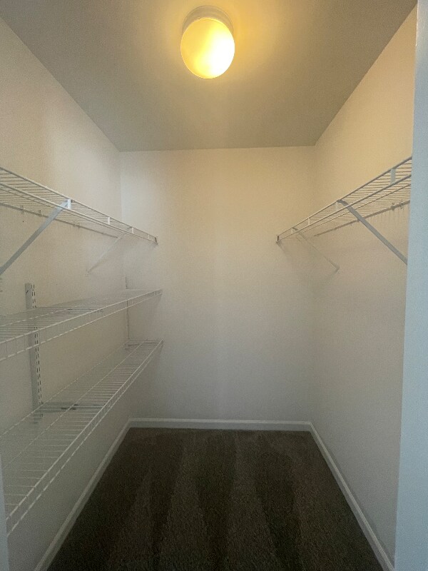 Building Photo - 125 Sophie Ln