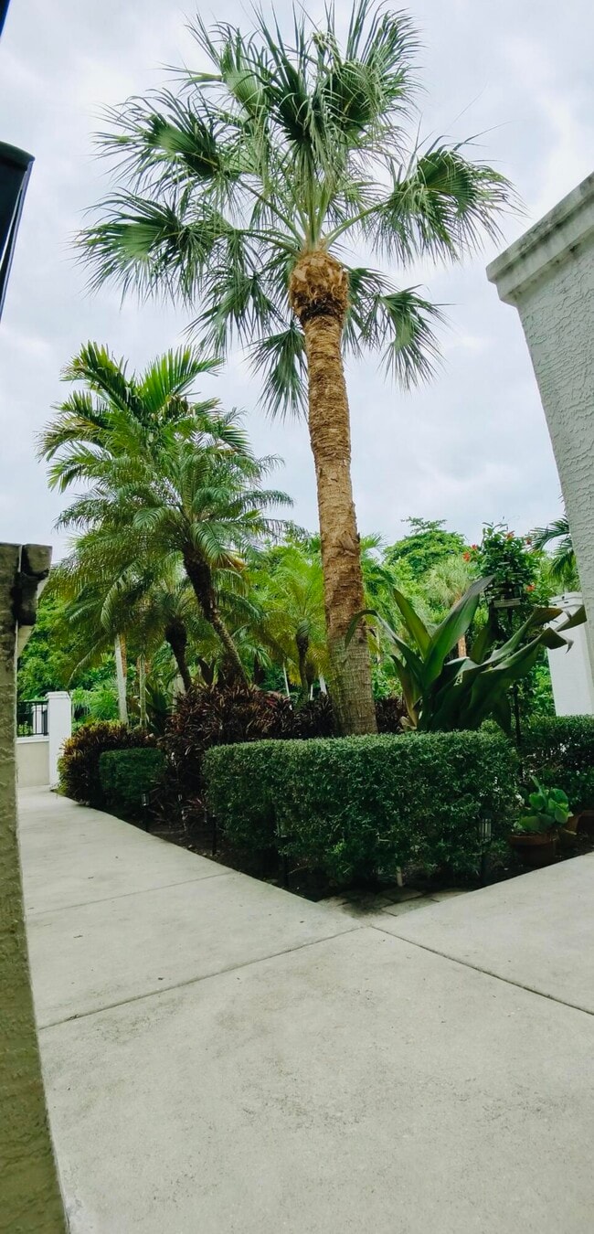 Building Photo - 1000 Palm Trail