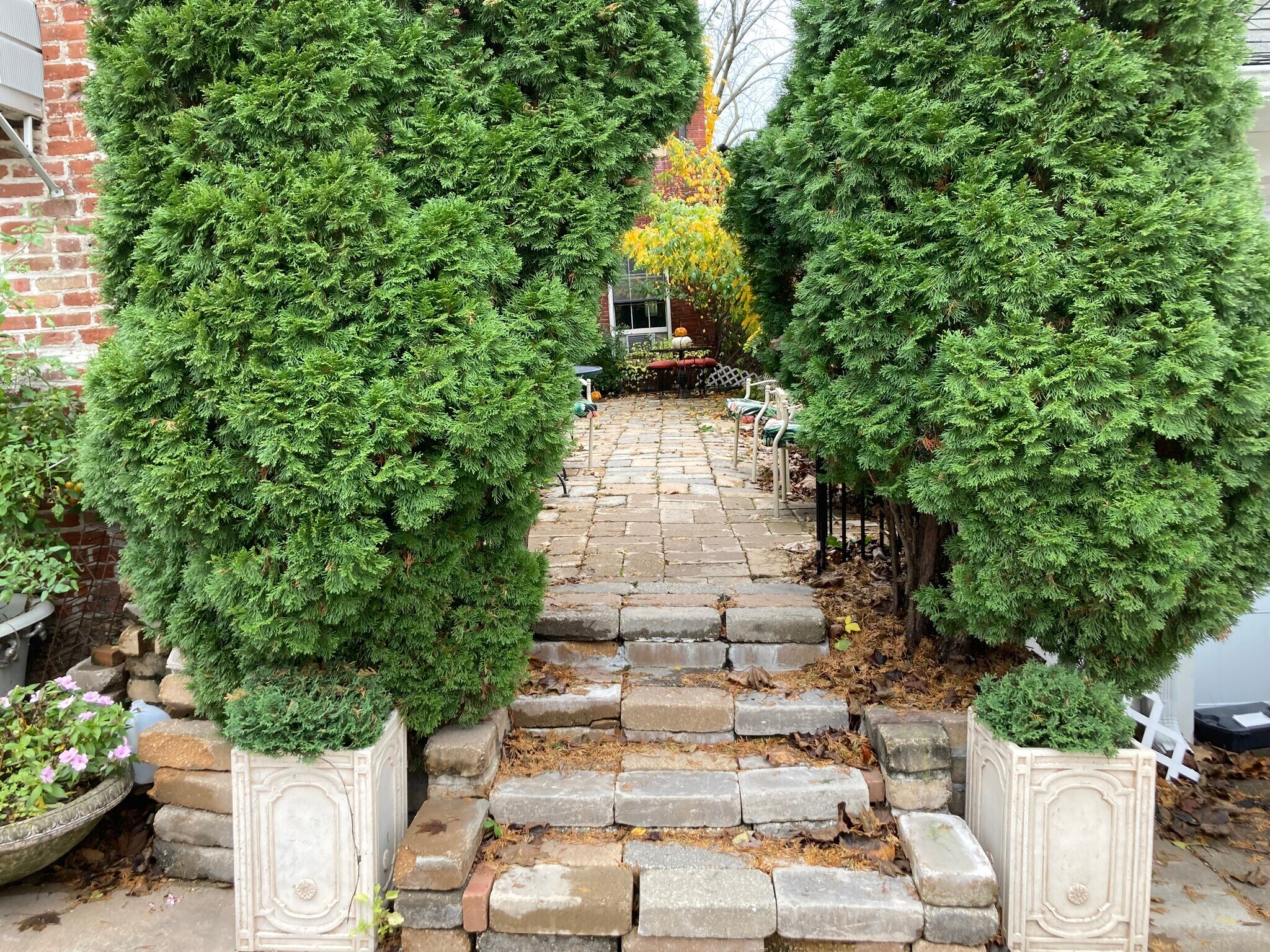 Entrance to back Patio - 603 S Bench St