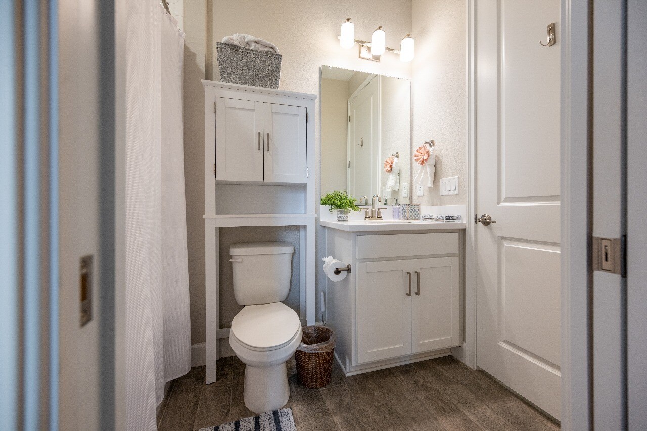 Guest Bath - 3117 Formia Ct