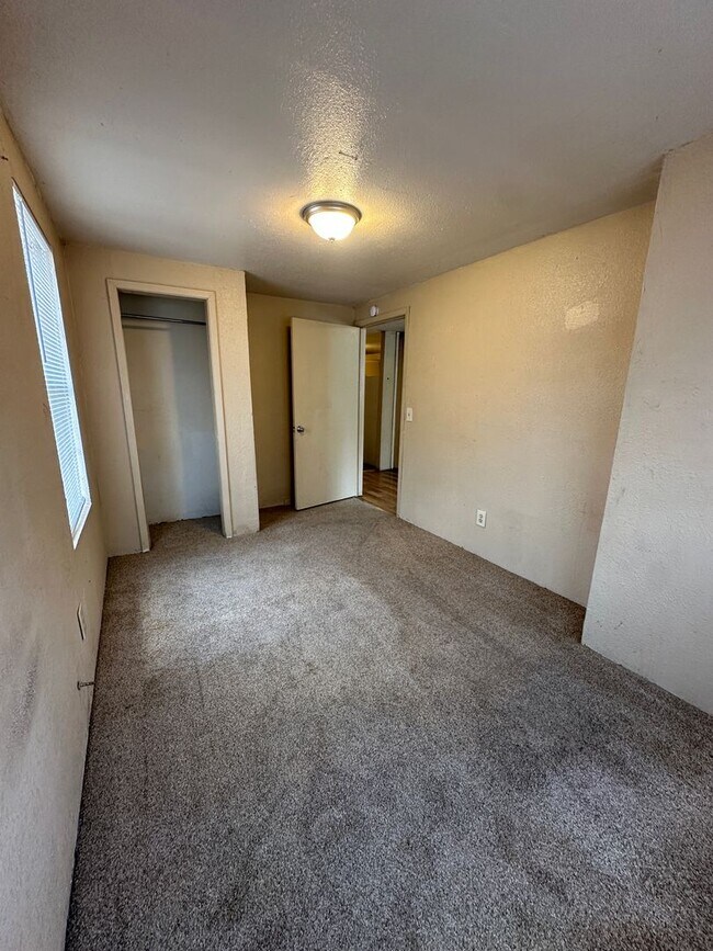 Building Photo - Across the Street from Sam Houston Park!!