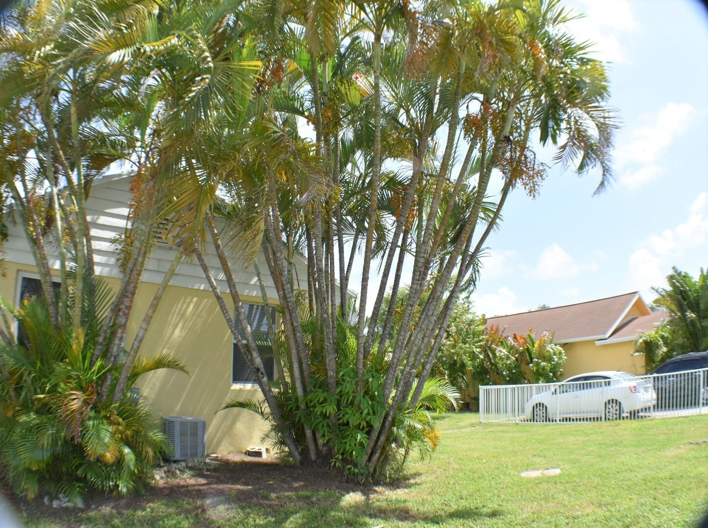 Building Photo - 1555 Harrison Street