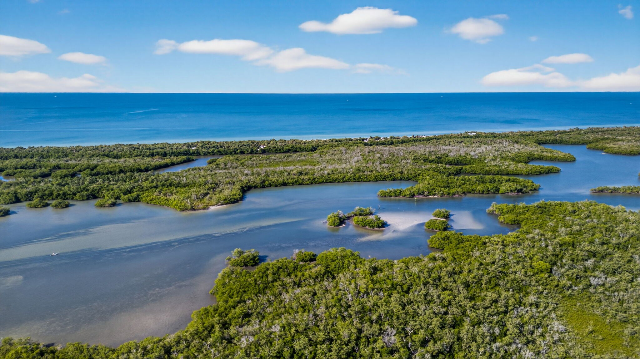 Building Photo - 1001 Arbor Lake Dr