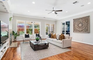Building Photo - 835 Tolentino Ct