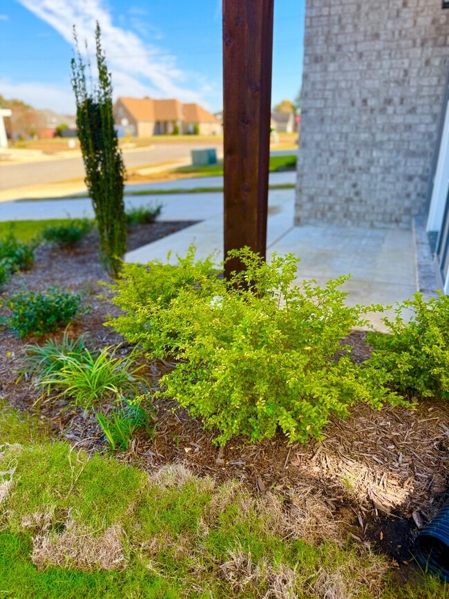 Building Photo - 4371 Ravenwood Park W