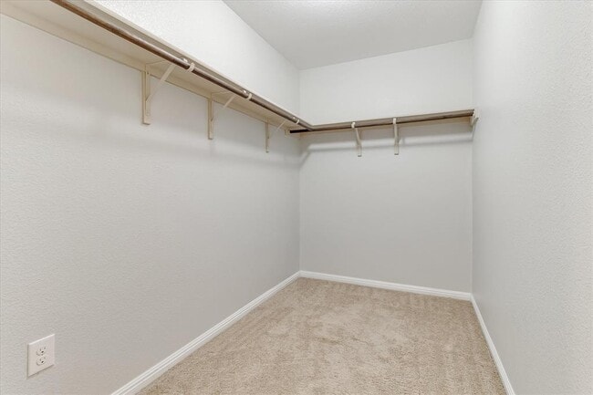 Building Photo - 11017 Cain Harvest Dr