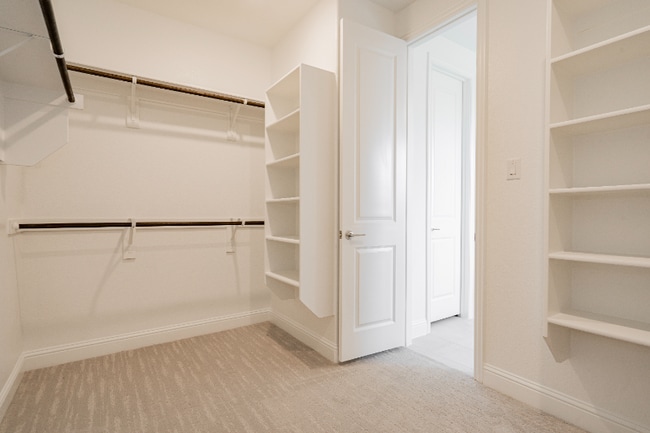 Building Photo - 8209 Abellia Ct