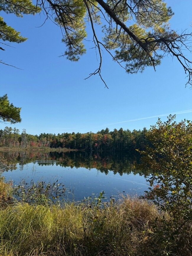 Building Photo - 15 Anglers Rd