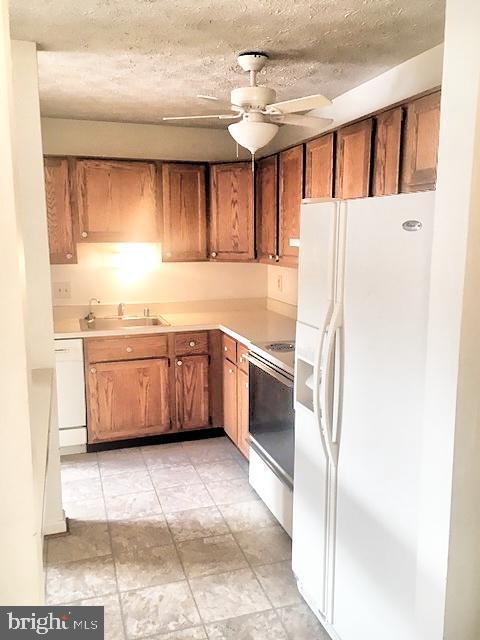 Building Photo - 2145 Wainwright Ct