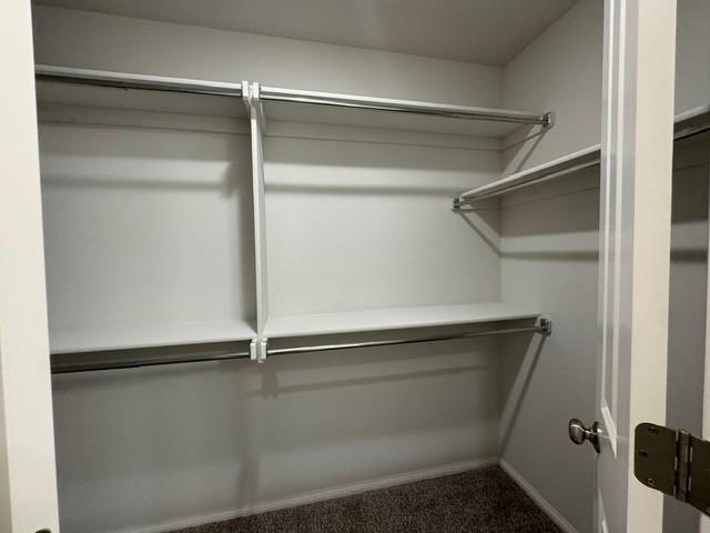 Building Photo - 2517 Northcreek Ln