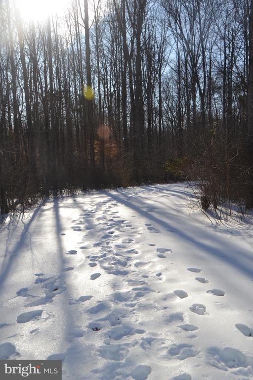 Building Photo - 6015 Ticonderoga Ct