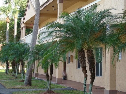 Primary Photo - Limited Time Pricing! Move in by Sept 12 g...