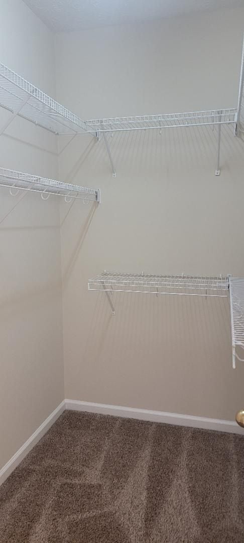 Building Photo - AVAILABLE NOW - CALL US FOR A SHOWING!