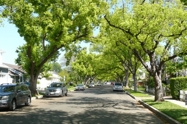Gorgeous Tree Lined Street and dog friendly - 14024 Peach Grove St