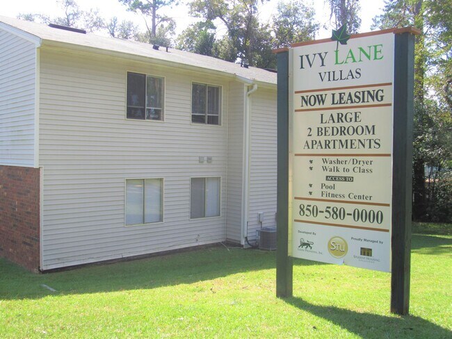 Interior Photo - Ivy Lane Villas